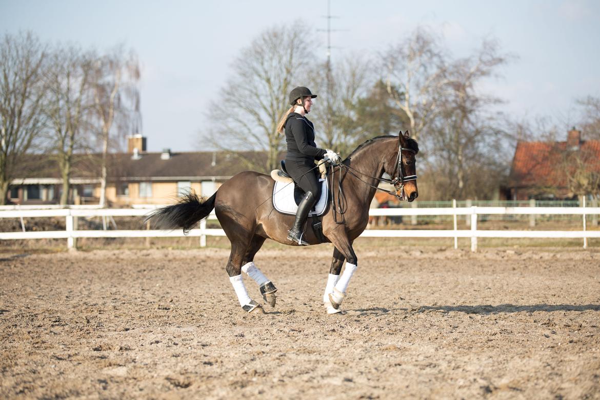 Interview til HesteMagasinet :) billede 8