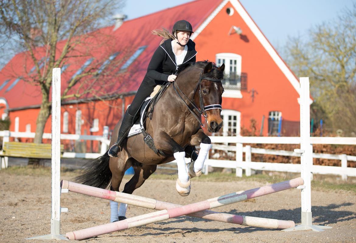 Interview til HesteMagasinet :) billede 9