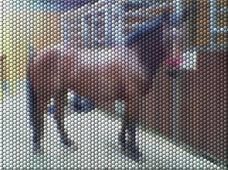 Manipulerede billeder - Lavet for camille N billede 1