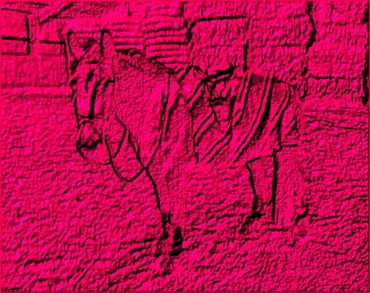 Manipulerede billeder - Lavet for camilla N billede 2