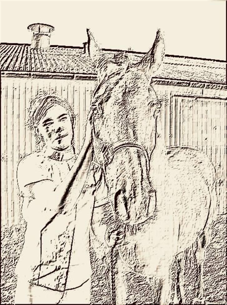 Manipulerede billeder - Lavet for didde V billede 3