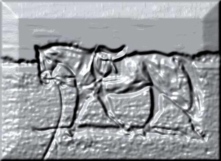 Manipulerede billeder - Lavet for veronika J billede 7