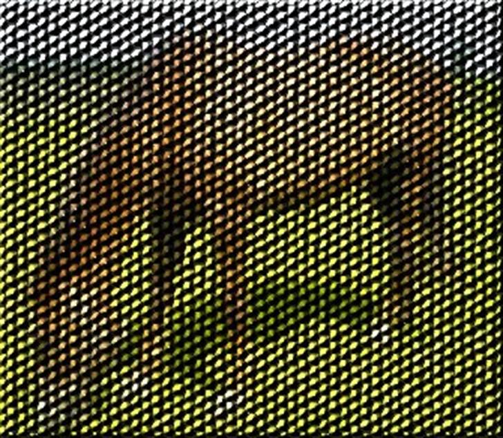 Manipulerede billeder - Lavet for veronika J billede 9