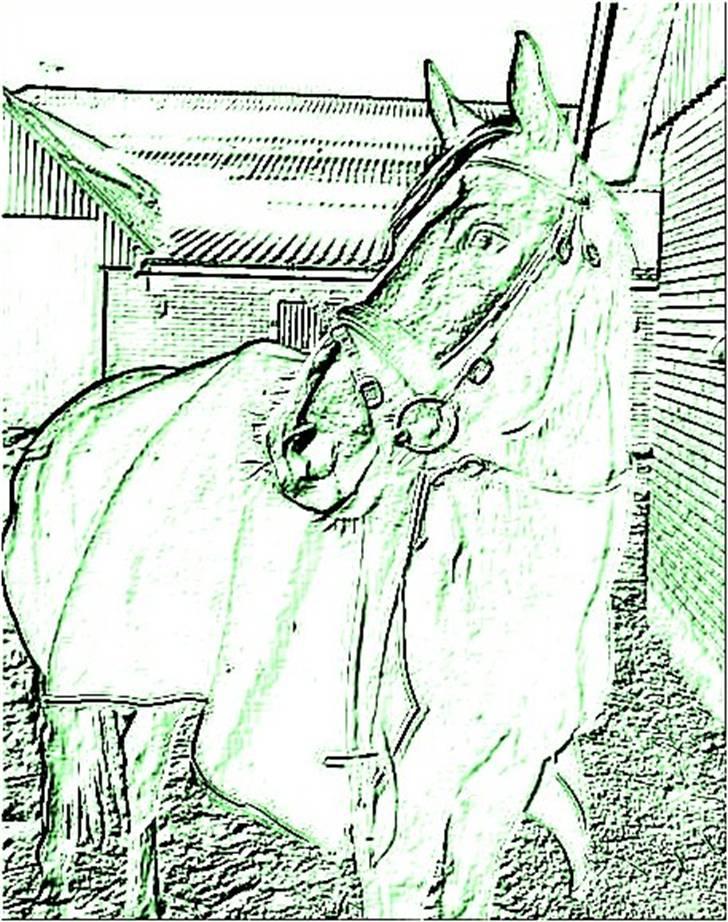 Manipulerede billeder - Lavet for charlotte P billede 10