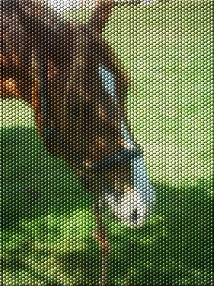 Manipulerede billeder - Lavet for charlotte P billede 11