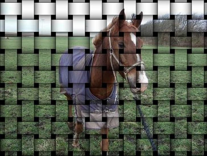 Manipulerede billeder - Lavet for charlotte P billede 12