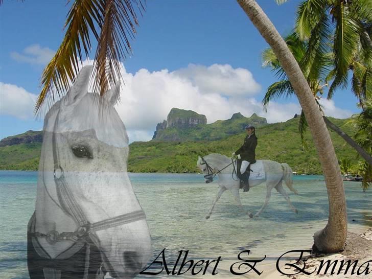 Mine redigerede og flotte billeder. billede 23