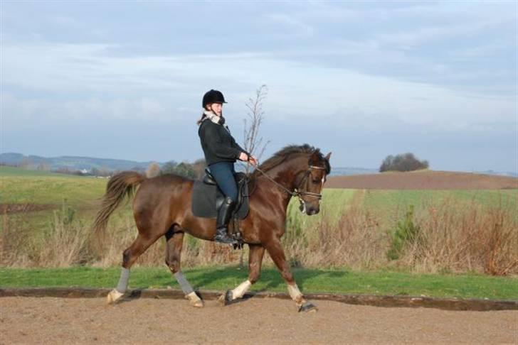 Sarai Familiealbum - Far - Flying Dutchmann
DSP billede 2