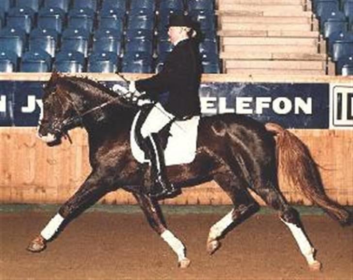 Sarai Familiealbum - Farfar - Bolero
DSP billede 4