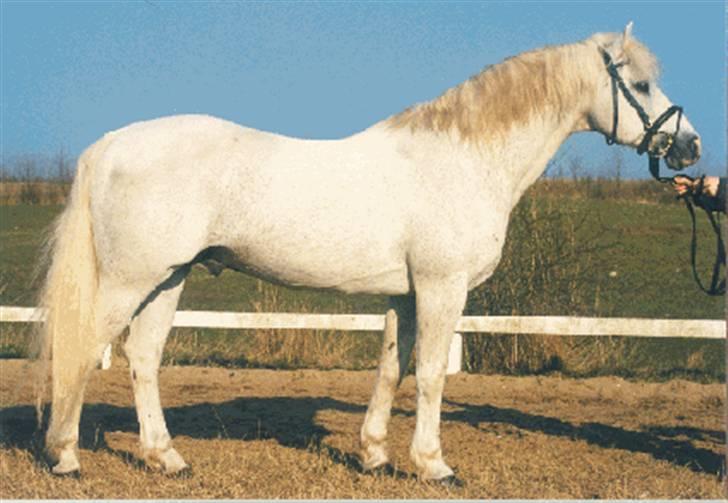 Sarai Familiealbum - Morfarfar(oldefar) - Øxenholm Markbook
Conn. billede 12