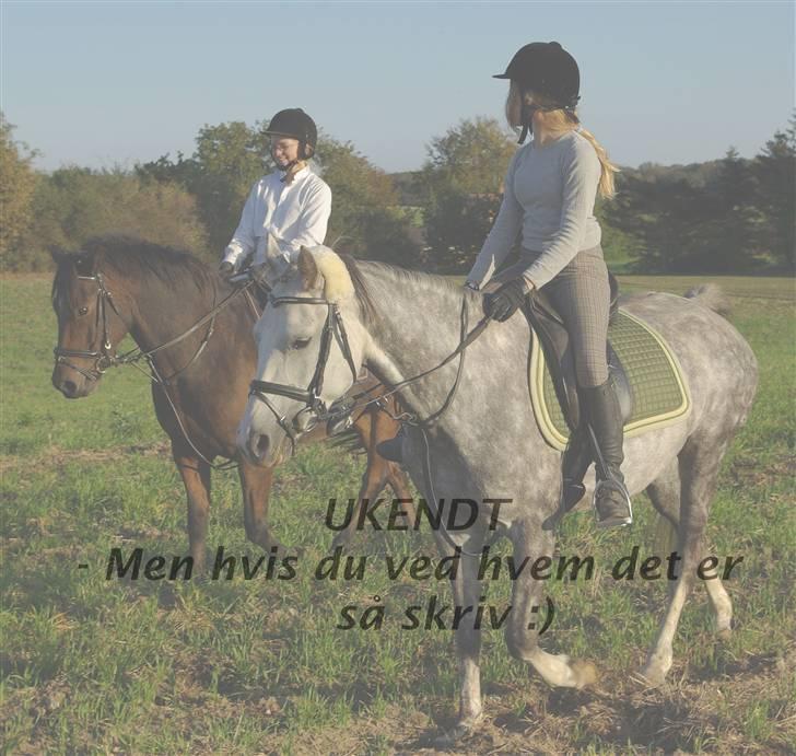 Sarai Familiealbum - Mormormorfar(tipoldefar) - UKENDT
UKENDT billede 30