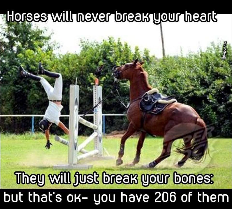 Blandet søde sjove billeder og tekster  billede 2