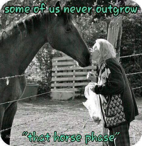 Blandet søde sjove billeder og tekster  billede 9