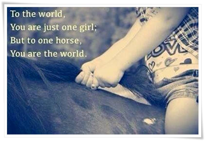 Blandet søde sjove billeder og tekster  billede 14