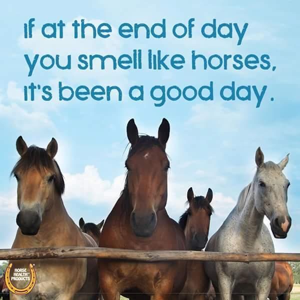 Blandet søde sjove billeder og tekster  billede 21