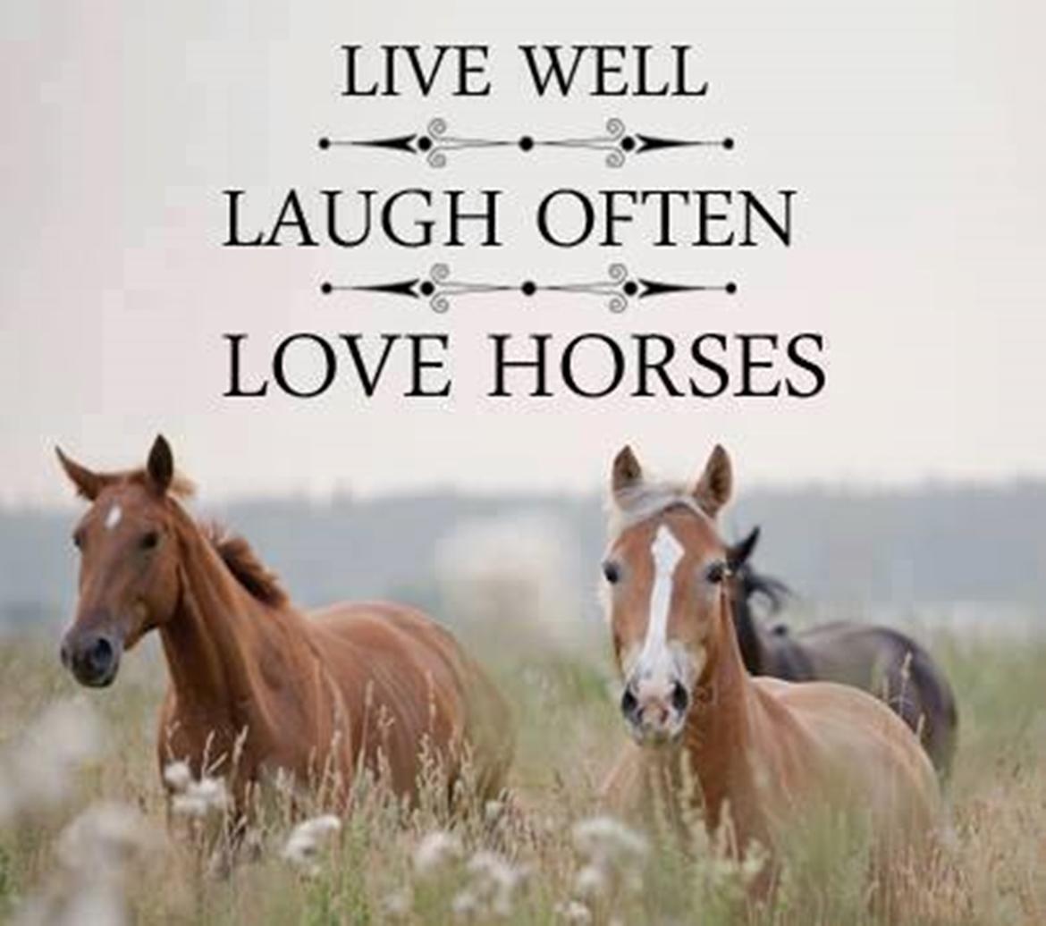 Blandet søde sjove billeder og tekster  billede 23