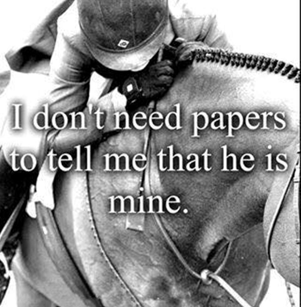 Blandet søde sjove billeder og tekster  billede 26