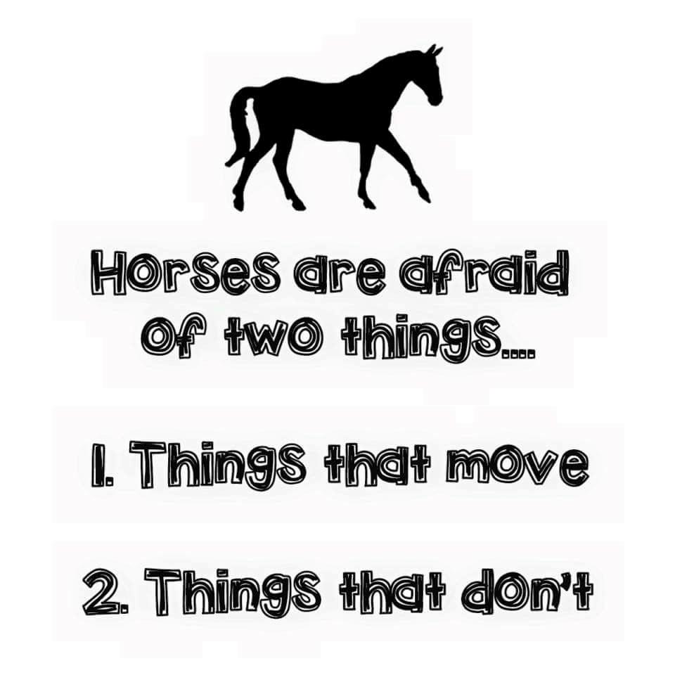 Blandet søde sjove billeder og tekster  billede 28