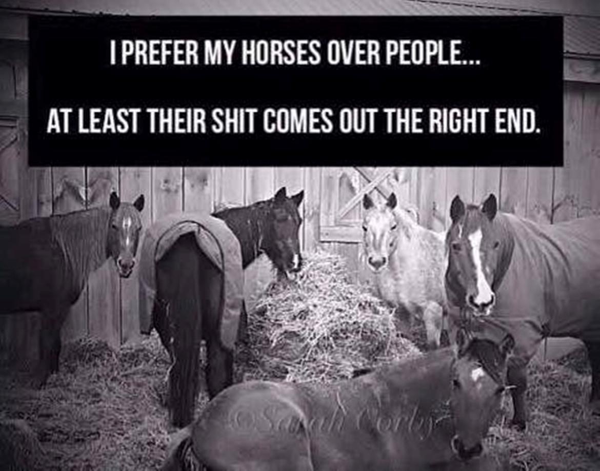 Blandet søde sjove billeder og tekster  billede 31