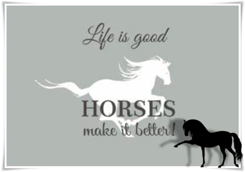 Blandet søde sjove billeder og tekster  billede 32