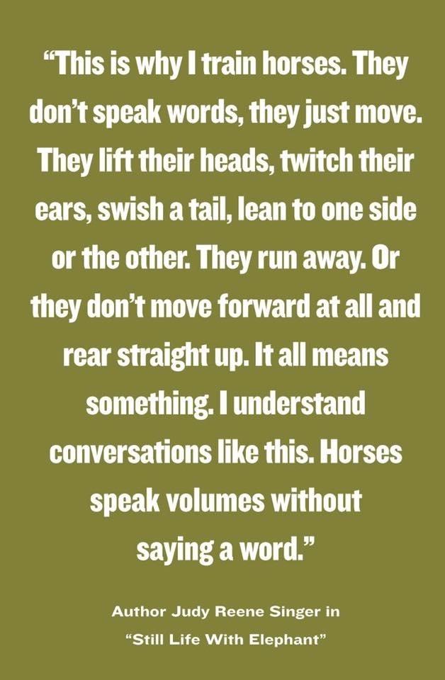 Blandet søde sjove billeder og tekster  billede 30