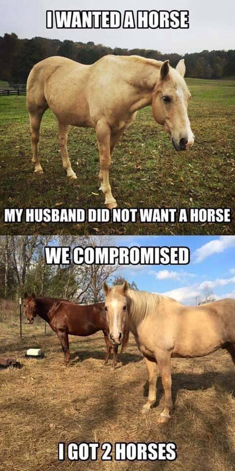 Blandet søde sjove billeder og tekster  billede 34