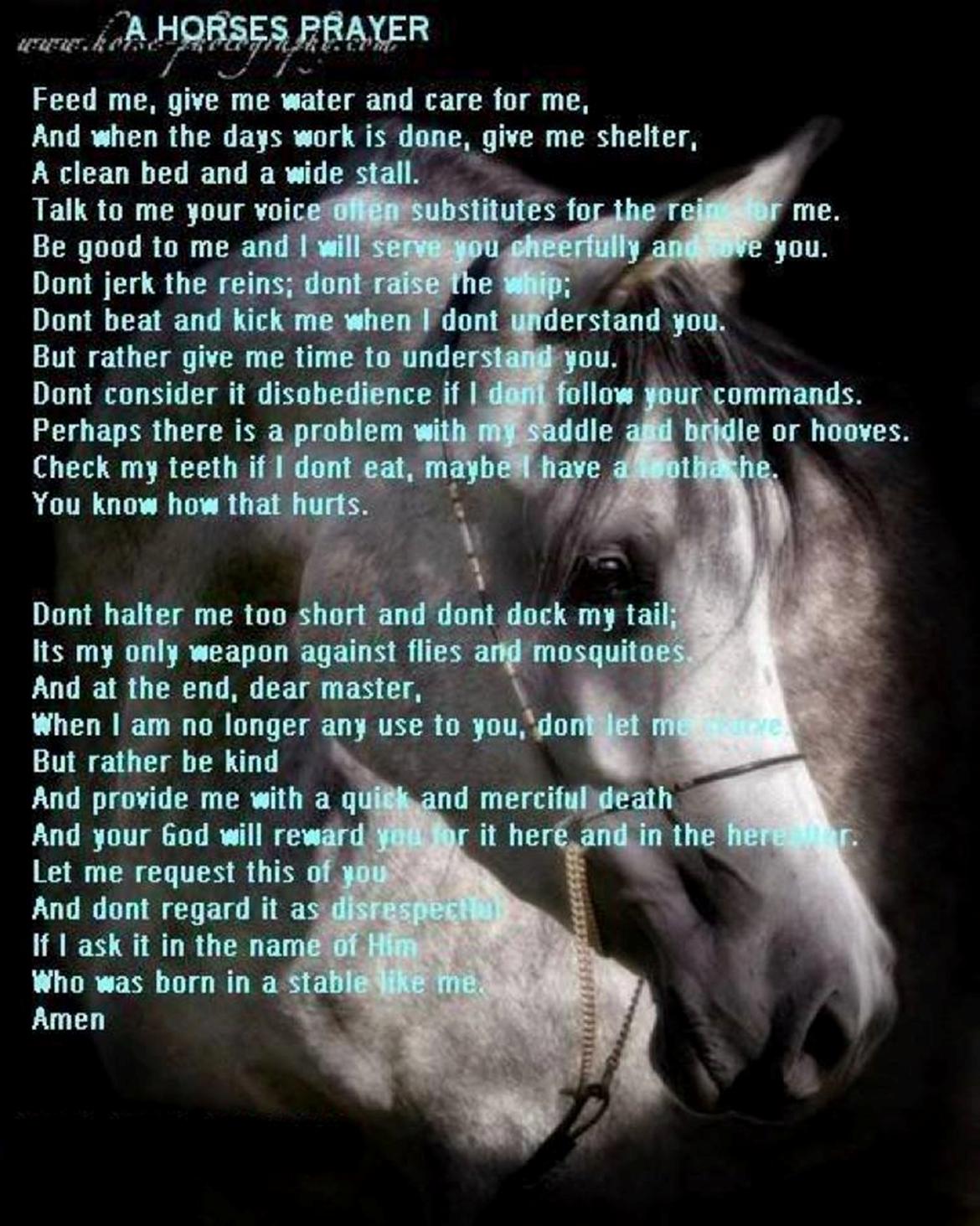 Blandet søde sjove billeder og tekster  billede 38