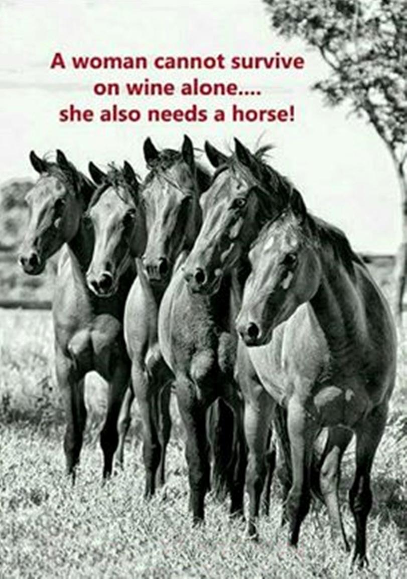 Blandet søde sjove billeder og tekster  billede 40