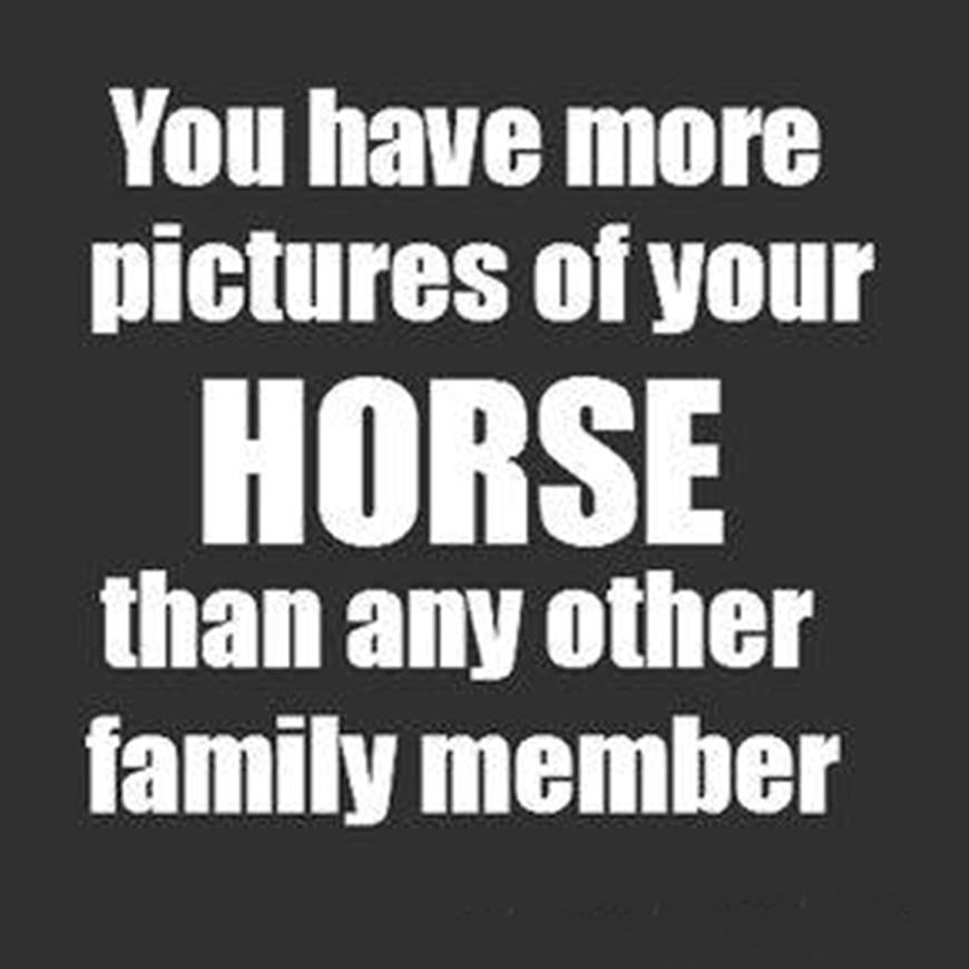 Blandet søde sjove billeder og tekster  billede 41