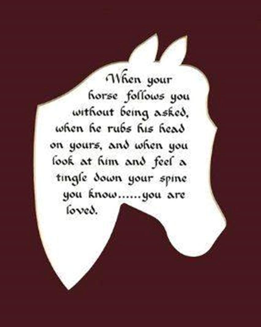 Blandet søde sjove billeder og tekster  billede 42