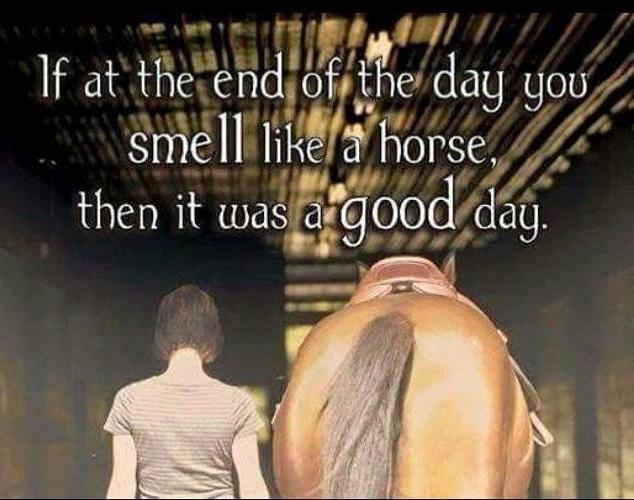 Blandet søde sjove billeder og tekster  billede 43