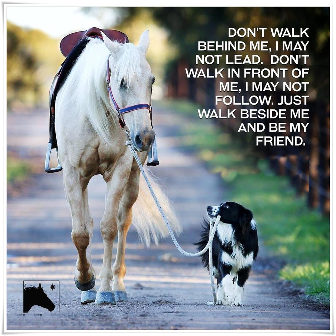 Blandet søde sjove billeder og tekster  billede 48