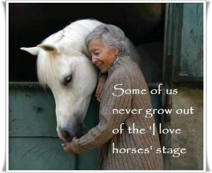 Blandet søde sjove billeder og tekster  billede 49