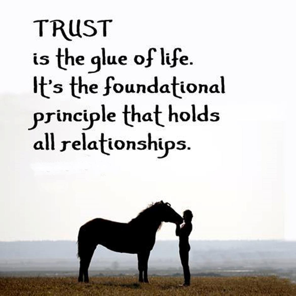 Blandet søde sjove billeder og tekster  billede 50