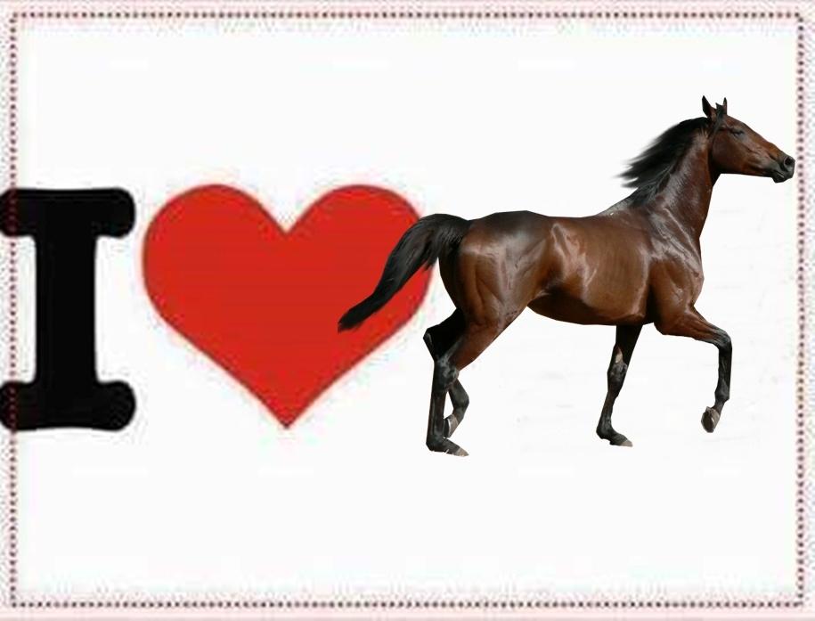 Blandet søde sjove billeder og tekster  billede 51