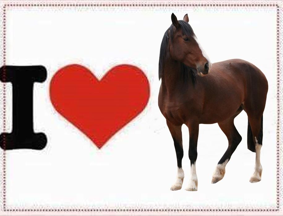 Blandet søde sjove billeder og tekster  billede 52