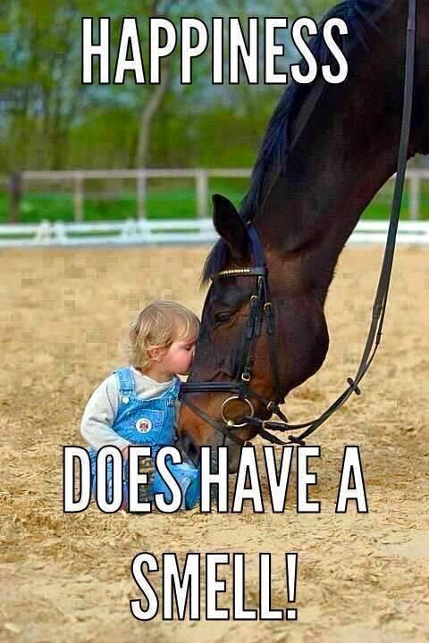 Blandet søde sjove billeder og tekster  billede 56