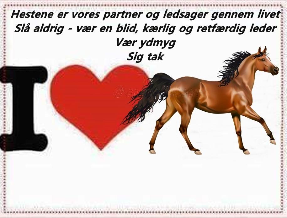 Blandet søde sjove billeder og tekster  billede 57