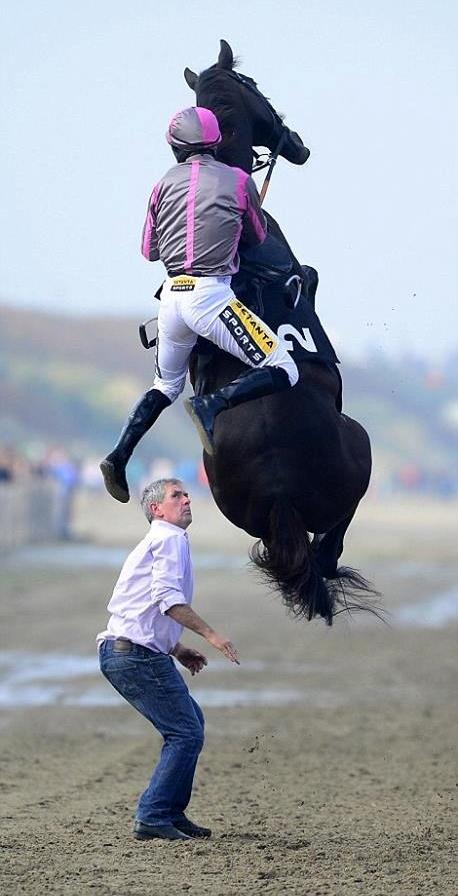 Blandet søde sjove billeder og tekster  billede 62