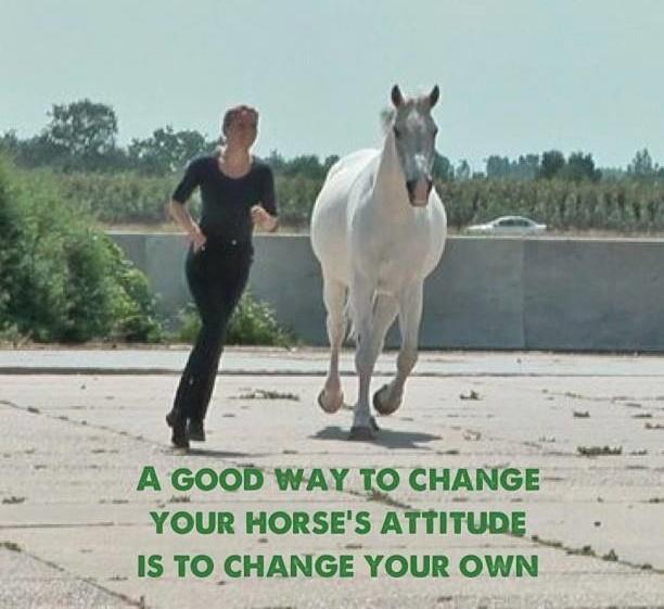 Blandet søde sjove billeder og tekster  billede 66