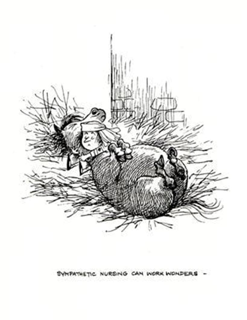 Blandet søde sjove billeder og tekster  billede 67