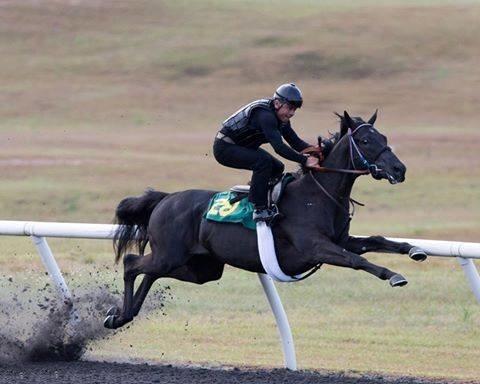 Blandet søde sjove billeder og tekster  billede 70