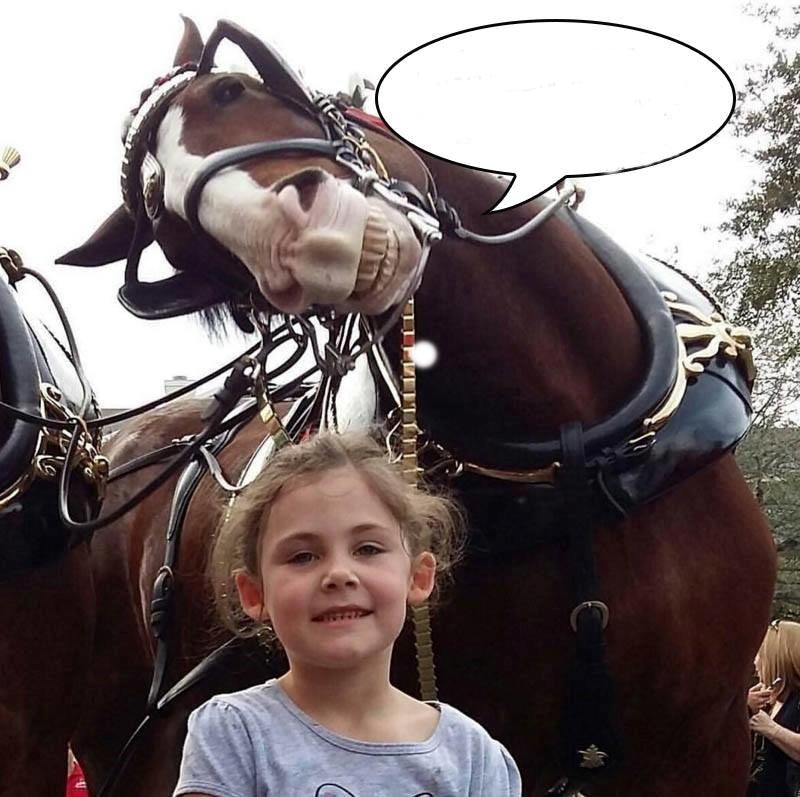 Blandet søde sjove billeder og tekster  billede 72