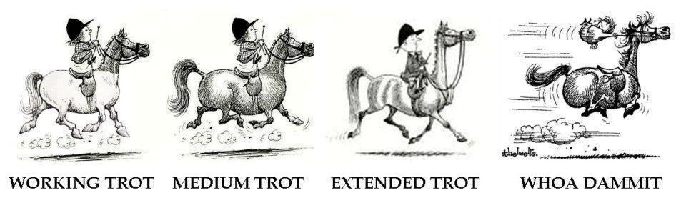 Blandet søde sjove billeder og tekster  billede 69