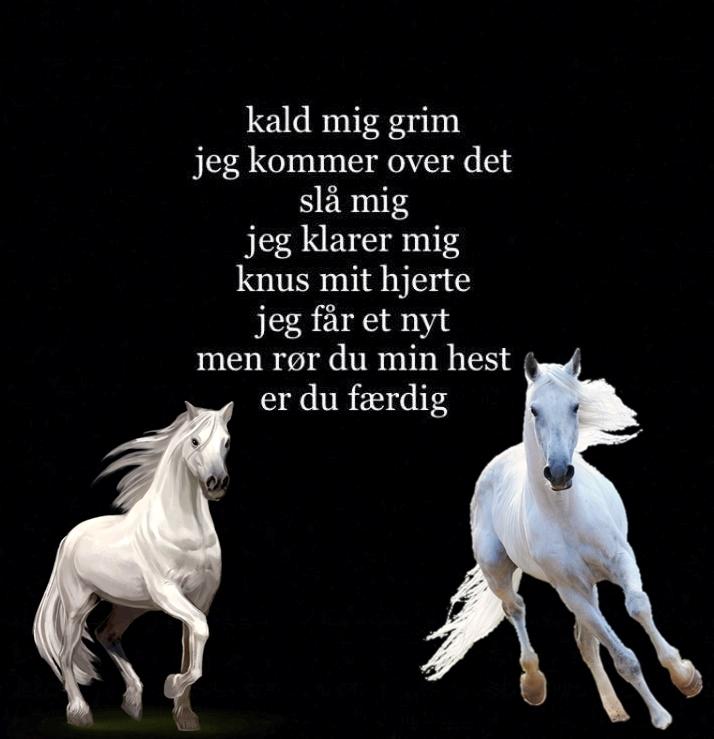 Blandet søde sjove billeder og tekster  billede 75