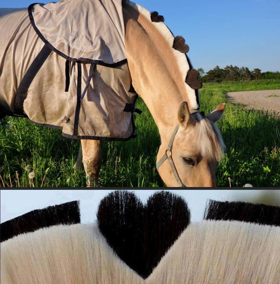 Blandet søde sjove billeder og tekster  billede 74