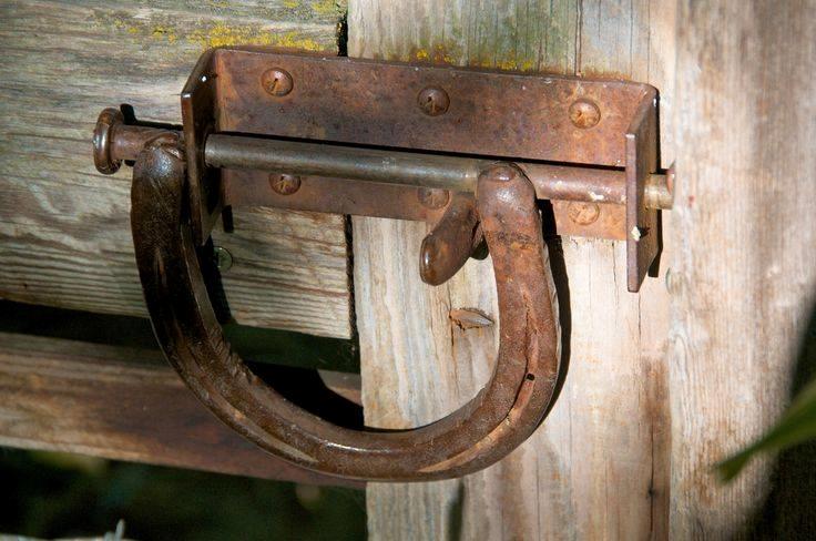 Blandet søde sjove billeder og tekster  billede 77