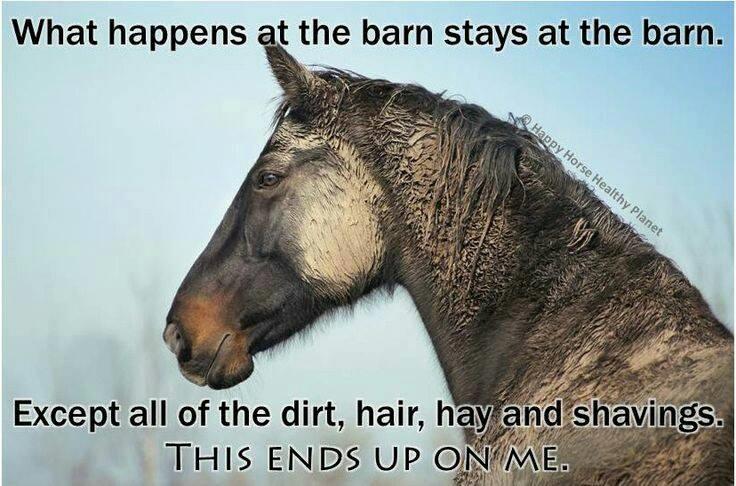 Blandet søde sjove billeder og tekster  billede 78