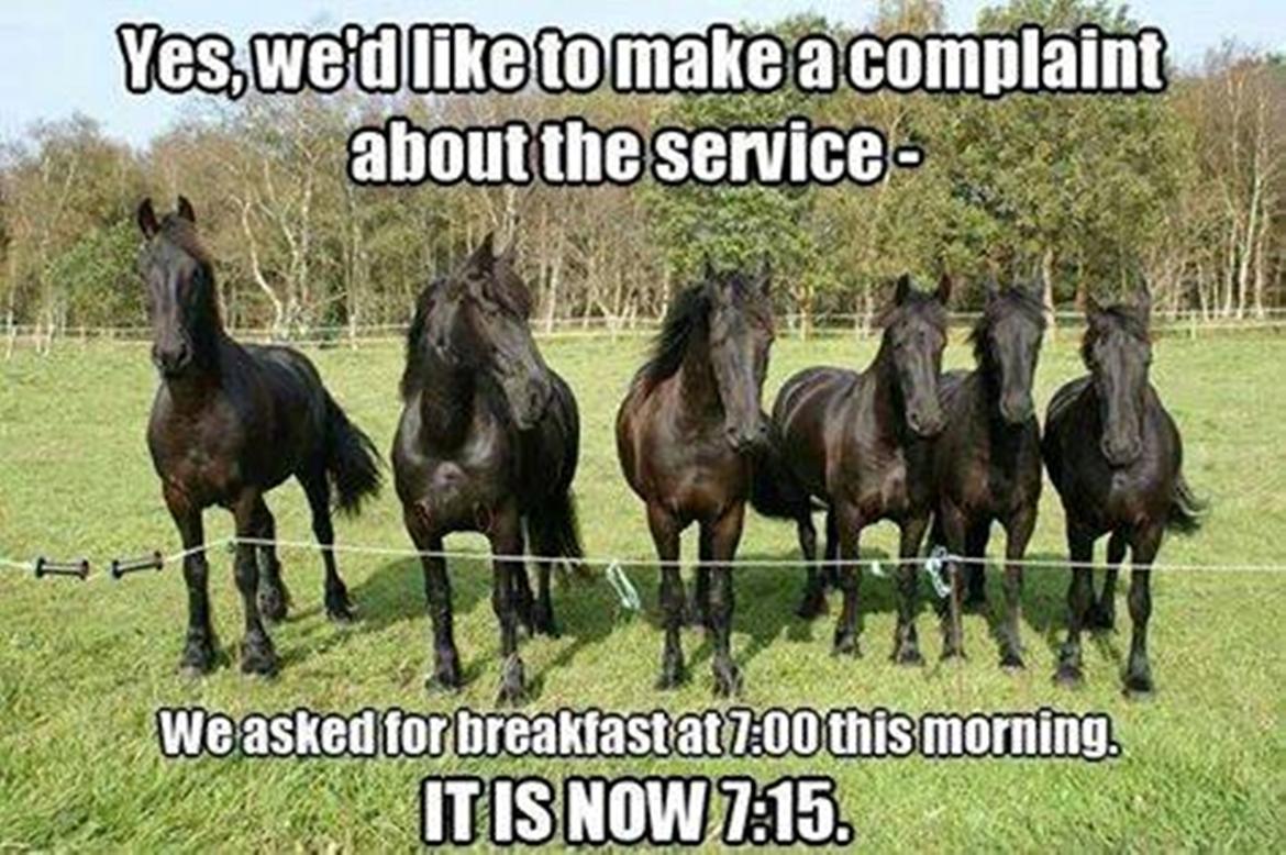 Blandet søde sjove billeder og tekster  billede 83