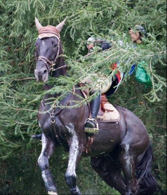 Blandet søde sjove billeder og tekster  billede 84